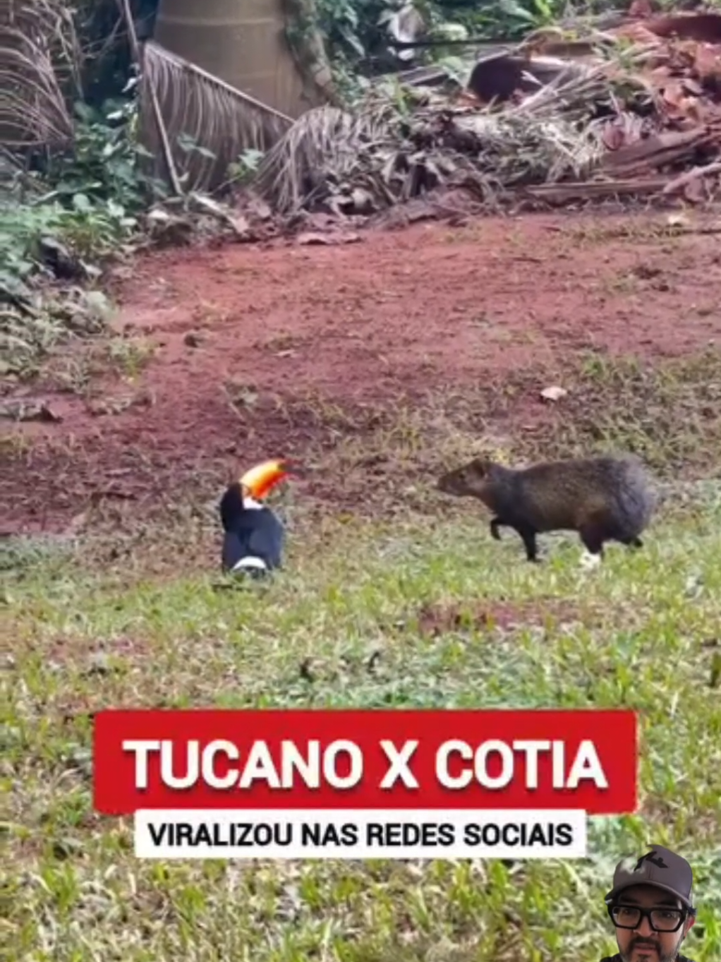 @TRAVEL PINGUIM