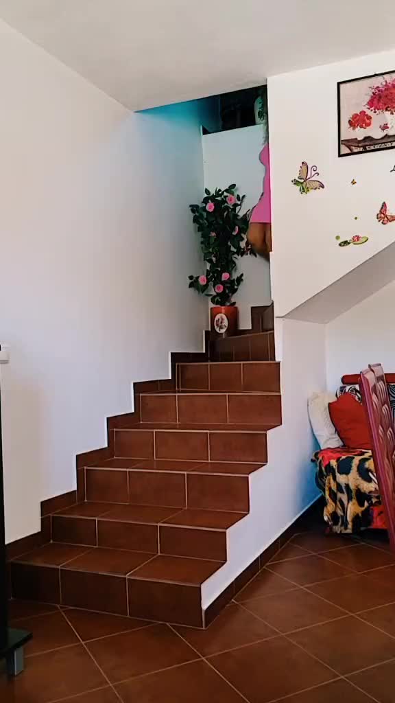 @Isabel Batista