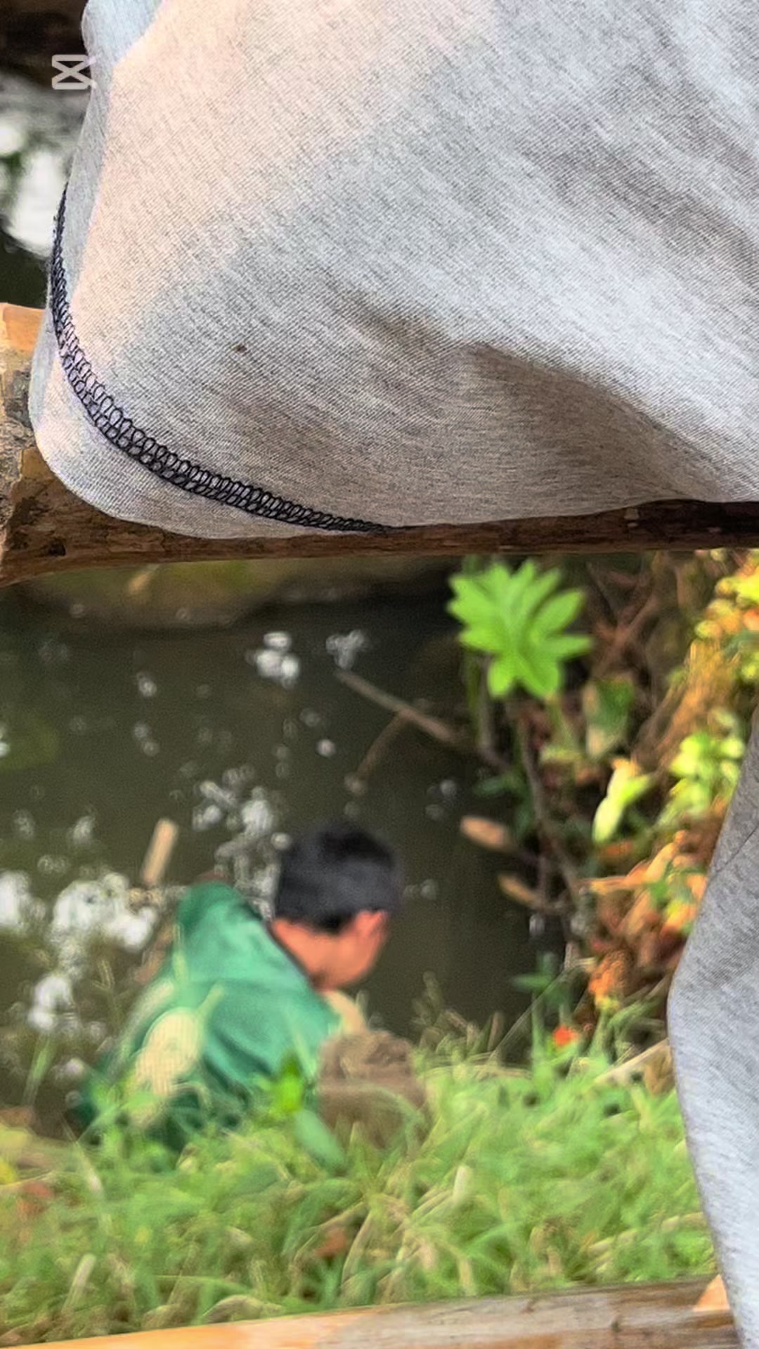 @🐆