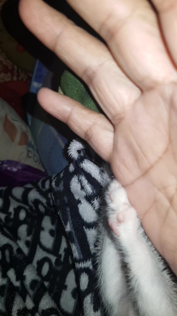 @메건 이그나시오 👩🏼🔬🇸🇬