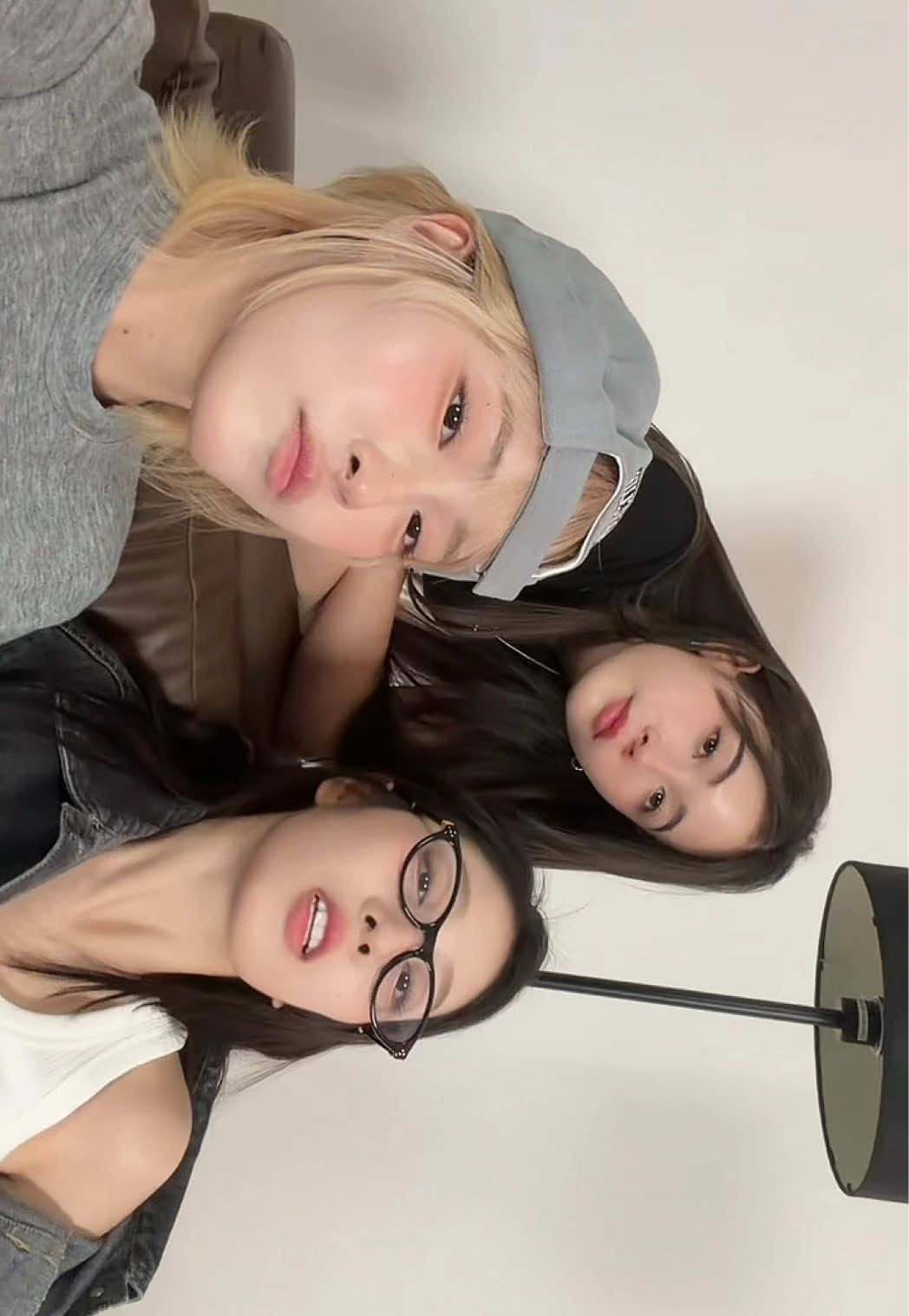 @pigwipa
