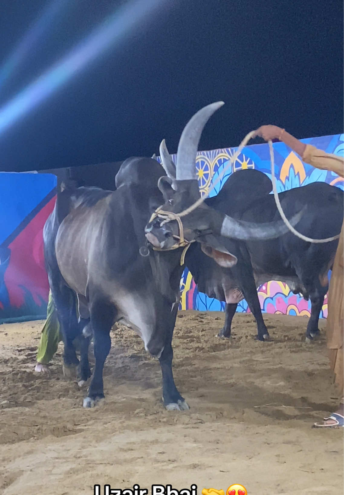 @Mandi Wali Sarkar