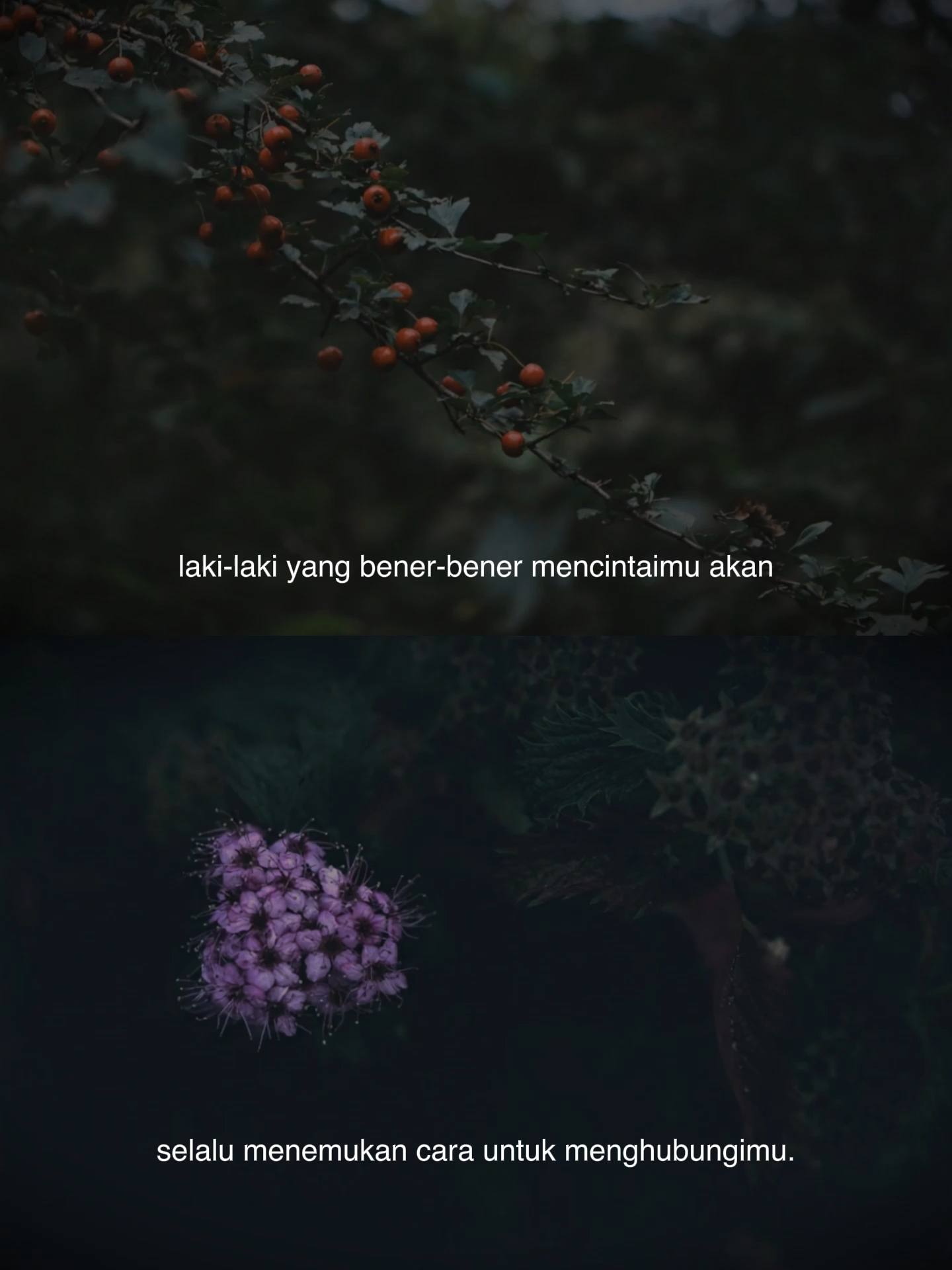 @Yang Terdalam