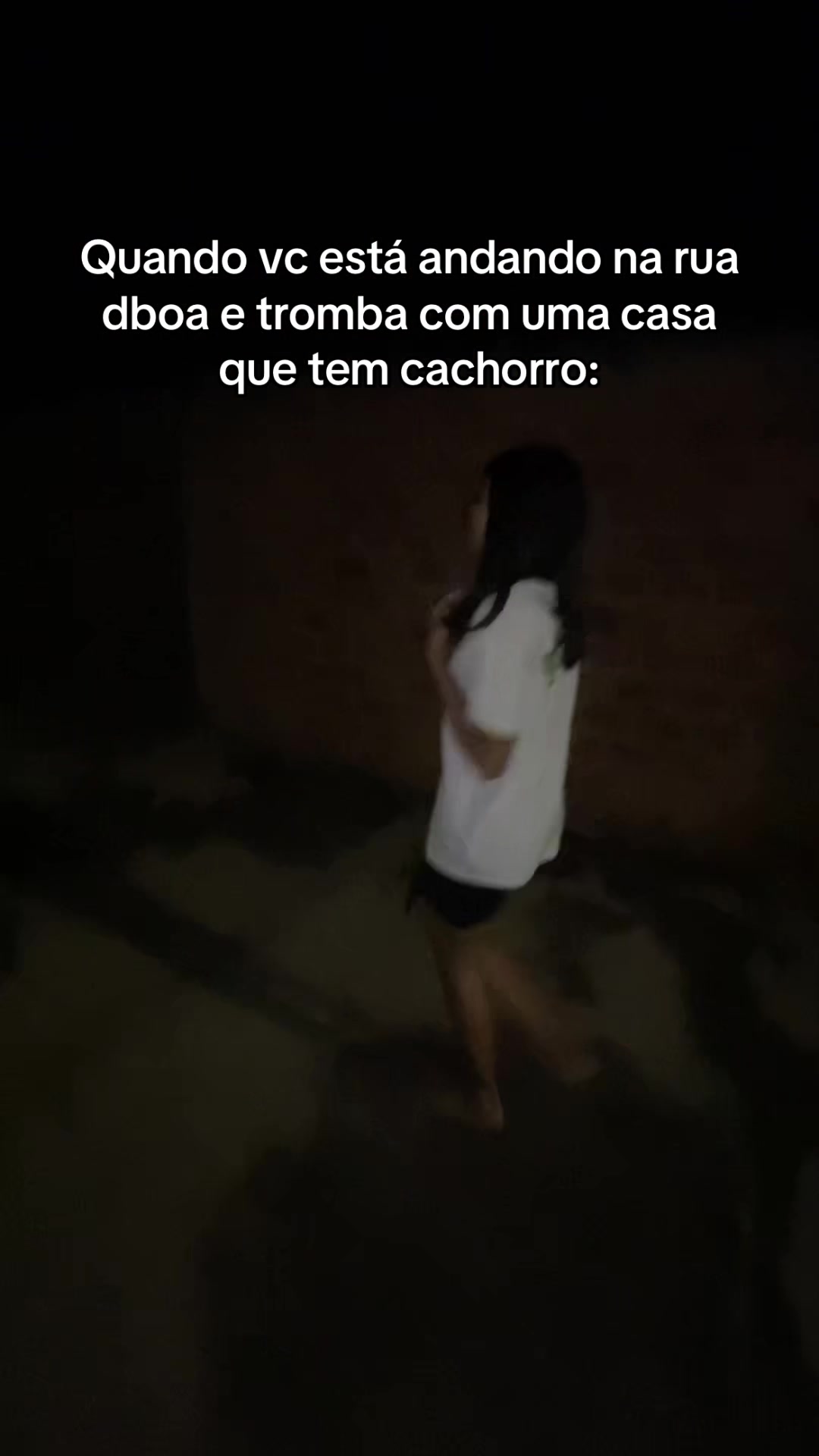 @gustavo marques