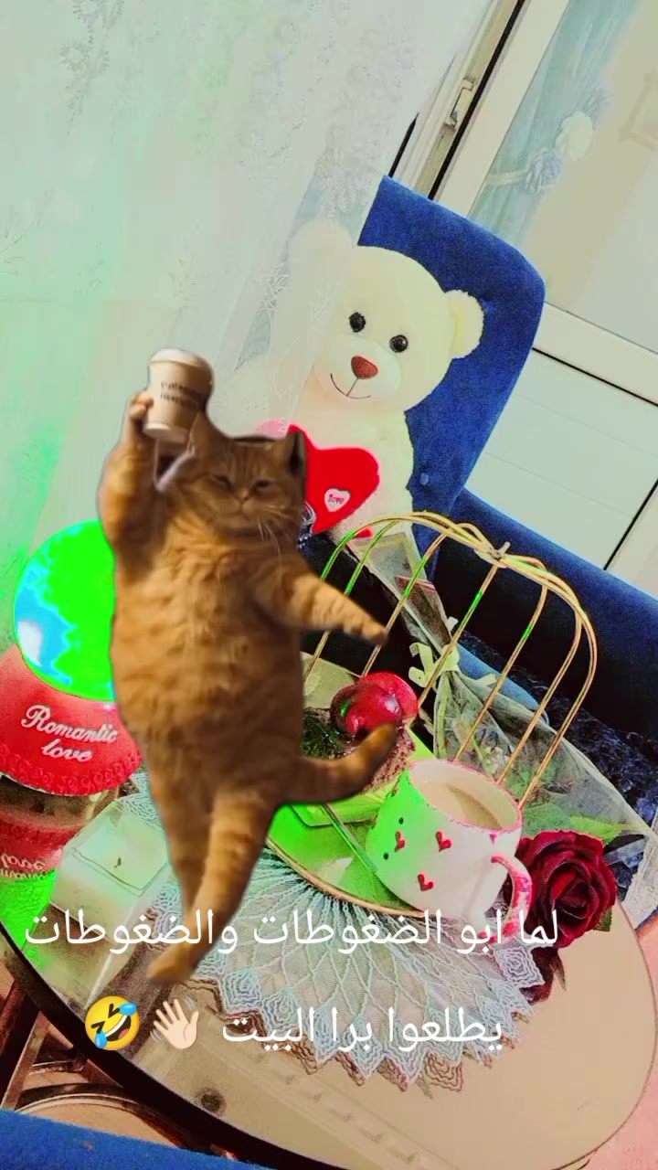 @๐ุณู
ูฬจฬฅฬฌฬฉู ุงูุฃู
ูฬจฬฅฬฌฬฉูุฑุฉ๐