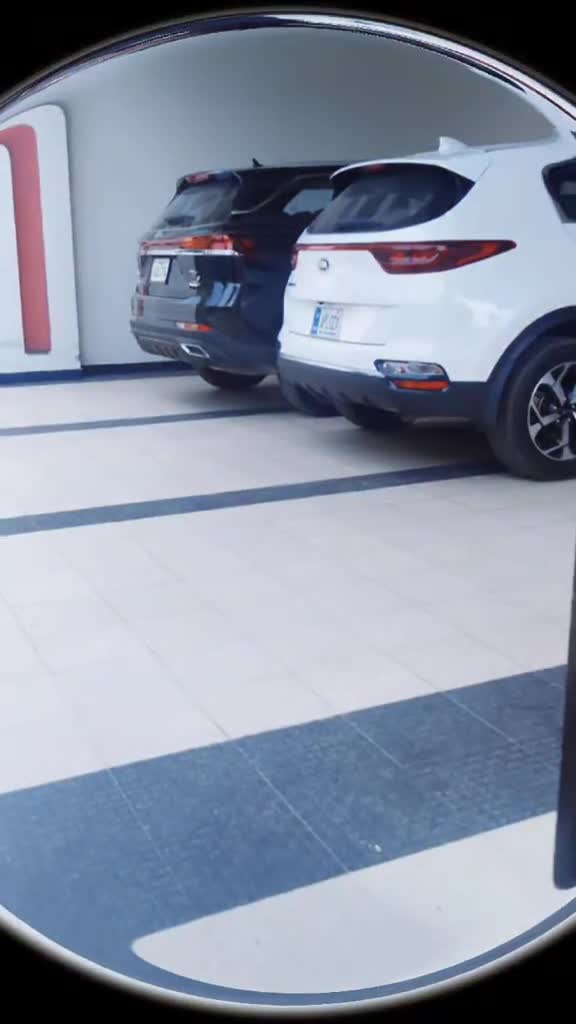 @mudassarjutt223