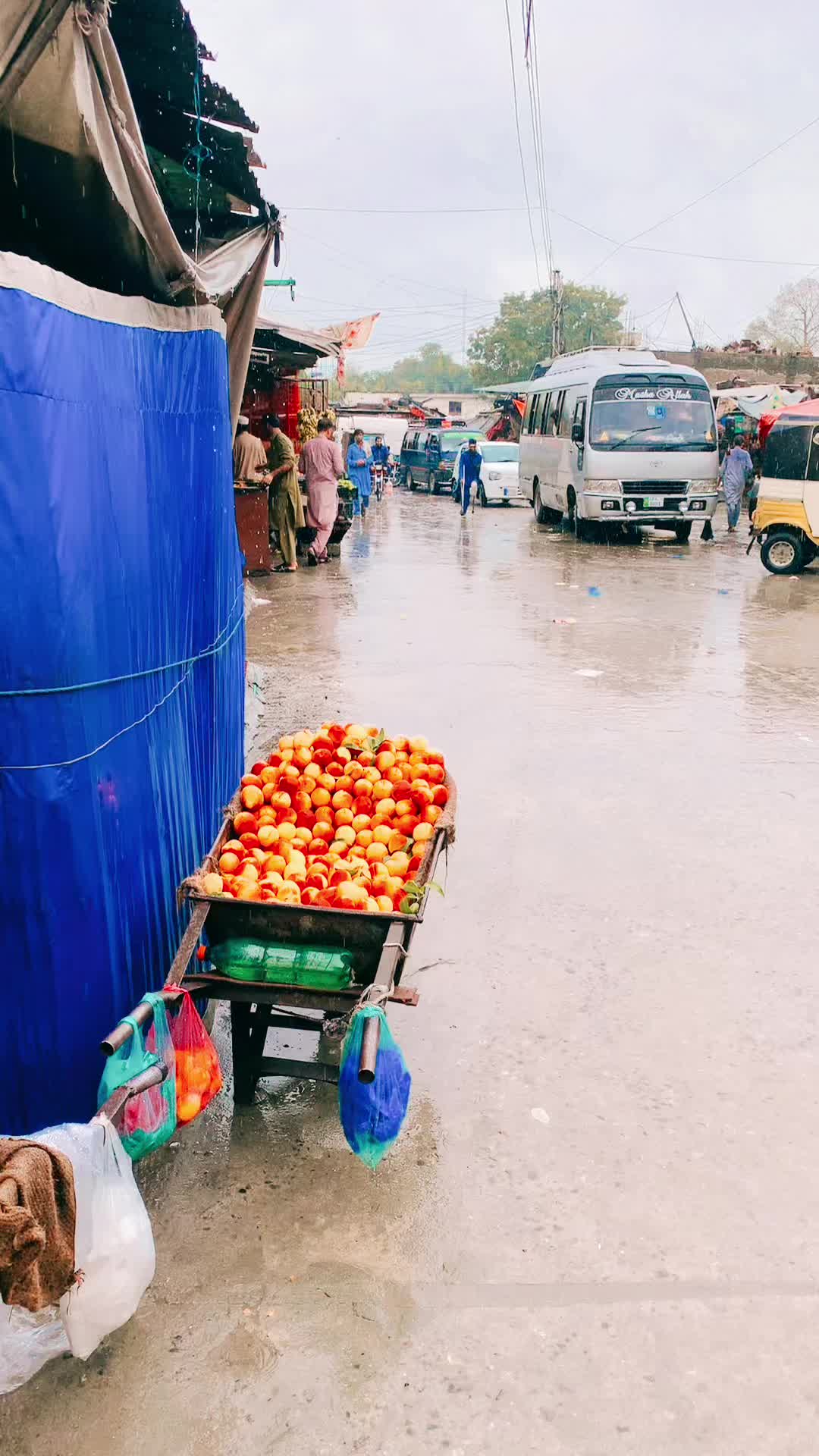 @Kamran Jani