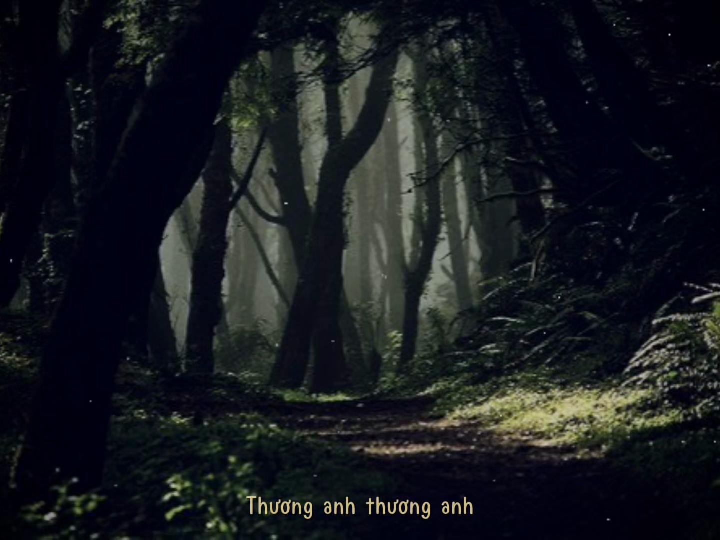 @Nhạc Tôi Nghe