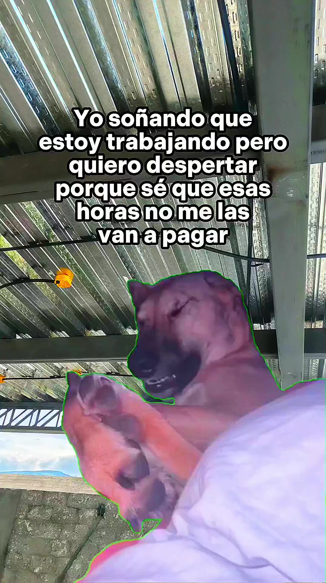 @ᴺᴷNoᐯᗩKIllEᖇᔕ