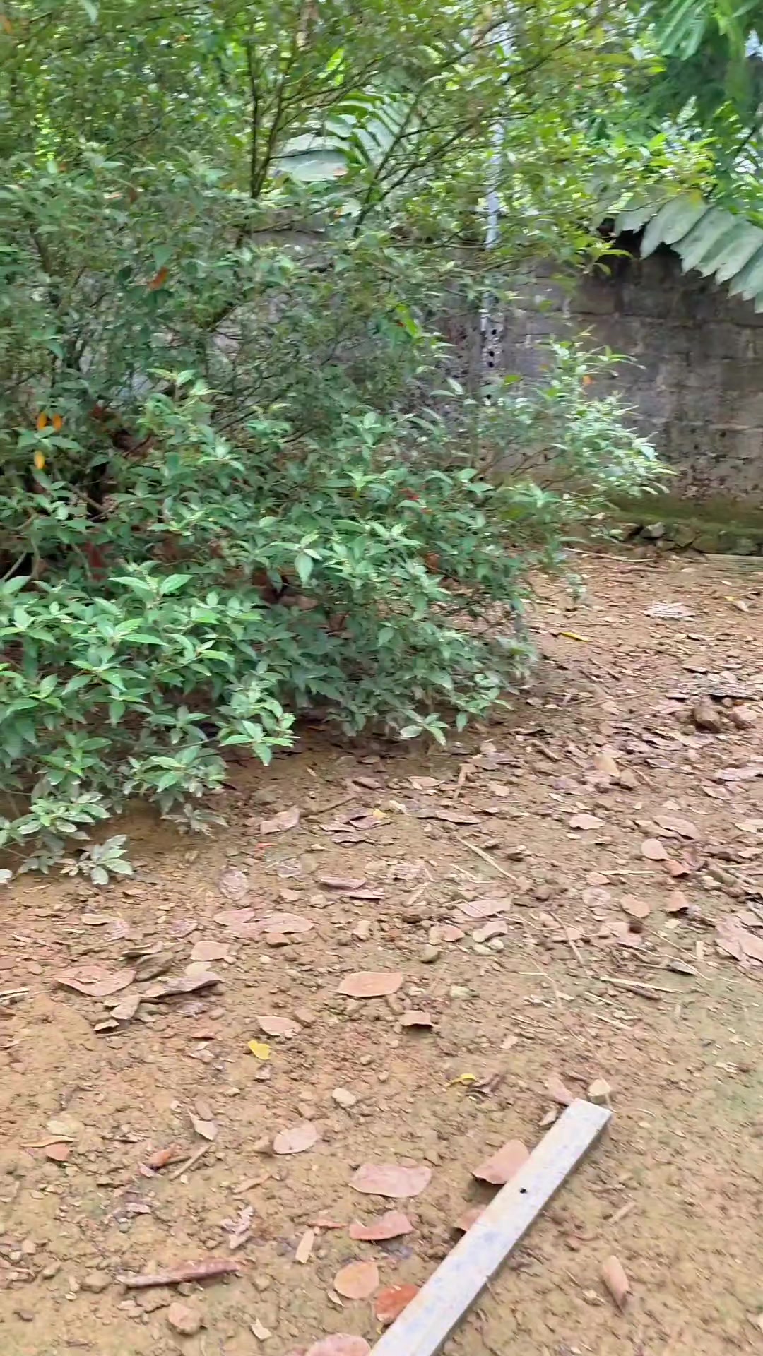 @Điểm dừng chân km 30 Hà Giang