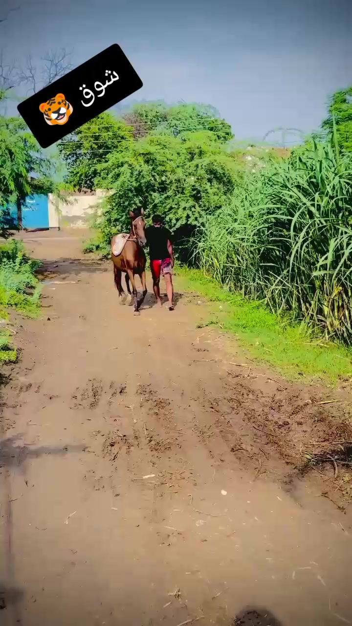@Ali🔥Haider👈rajpoot😈