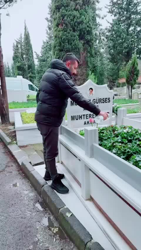 @Sezgin Dönmez 