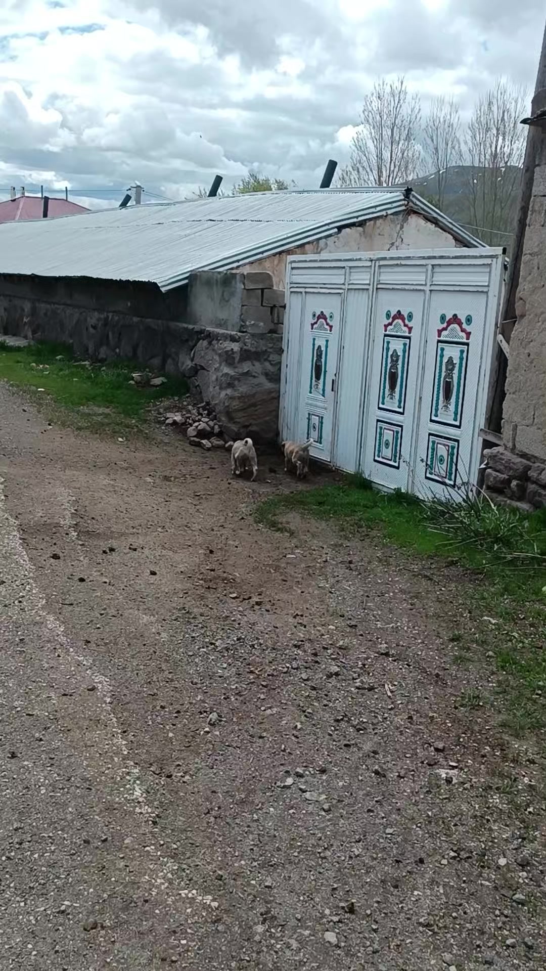 @Yusuf saldık