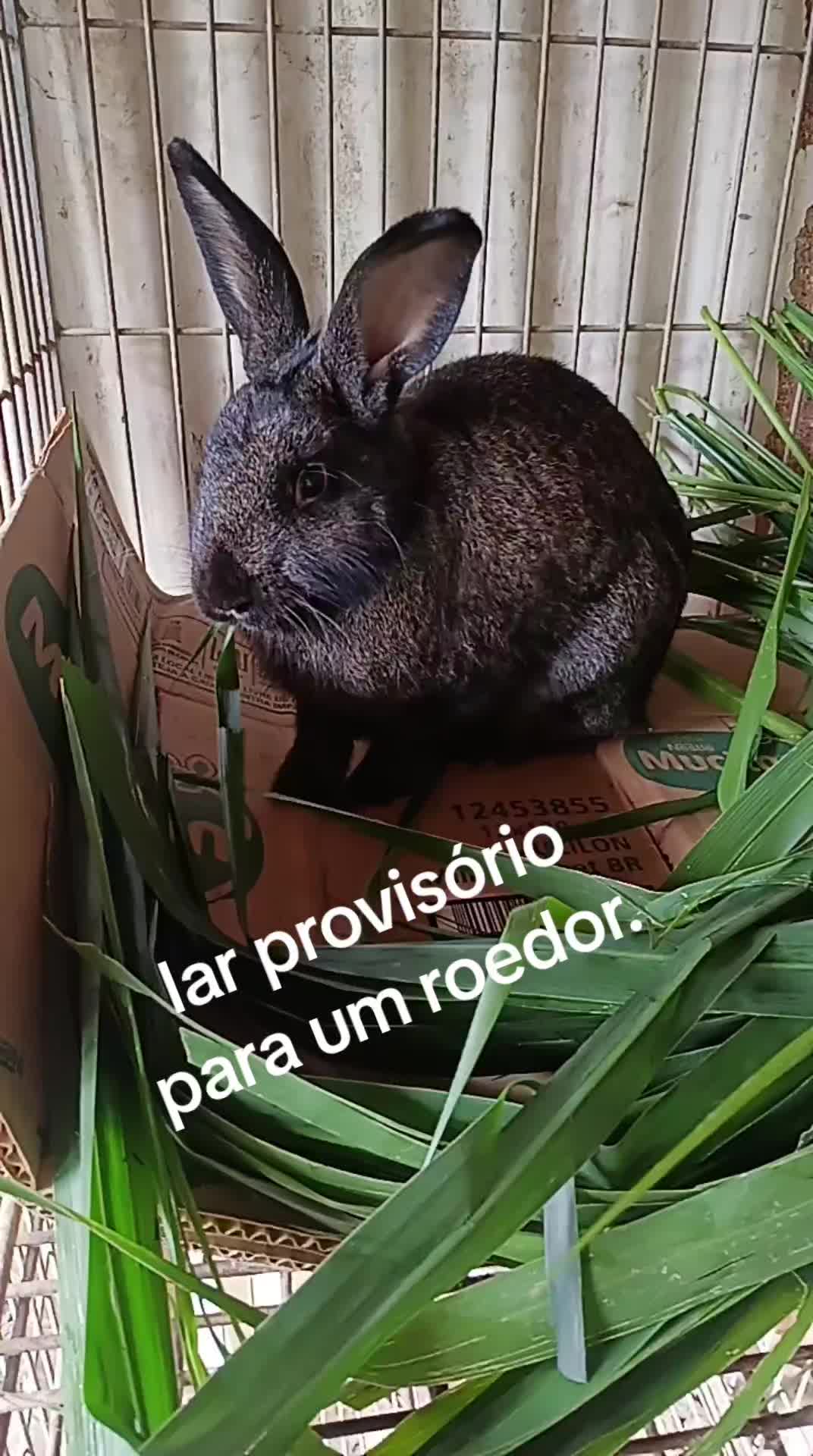 @Marta sobrevivencialismo👊
