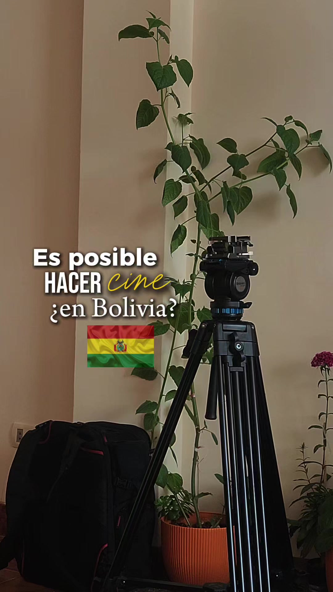@Carlos Alanoca