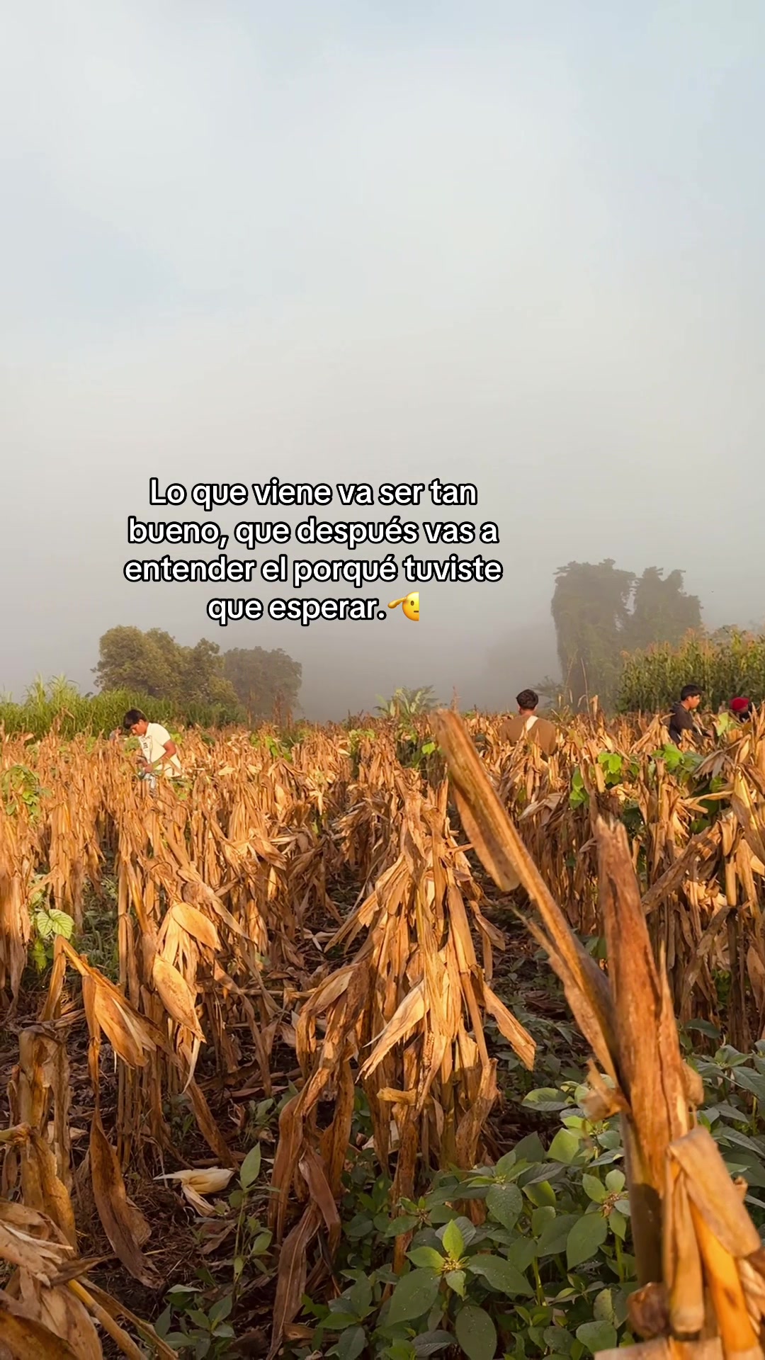 @๐ฎ๐๐๐๐๐๐ ๏ฃฟ๐ฆ