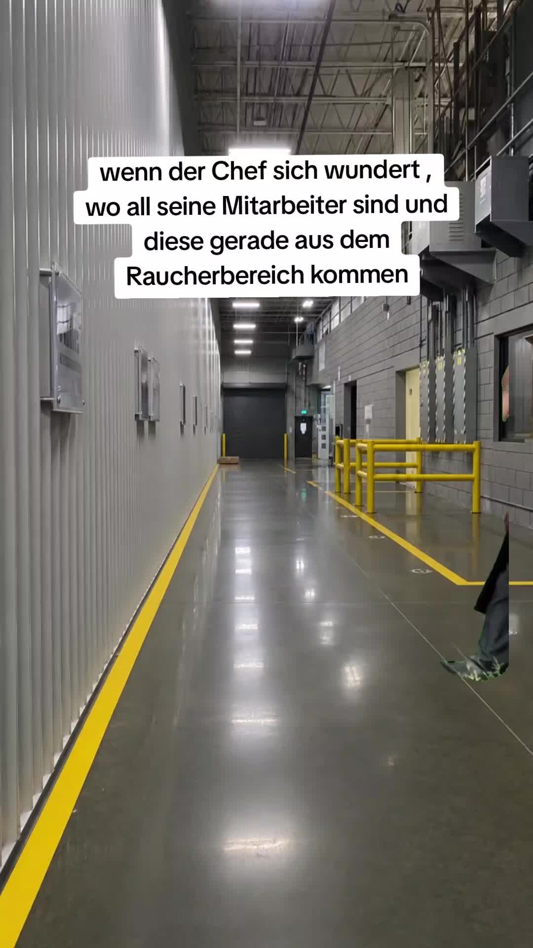 @gino