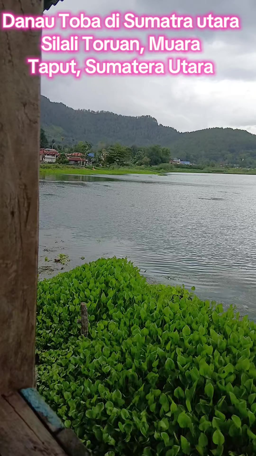 @Ristorisna Tampubolon