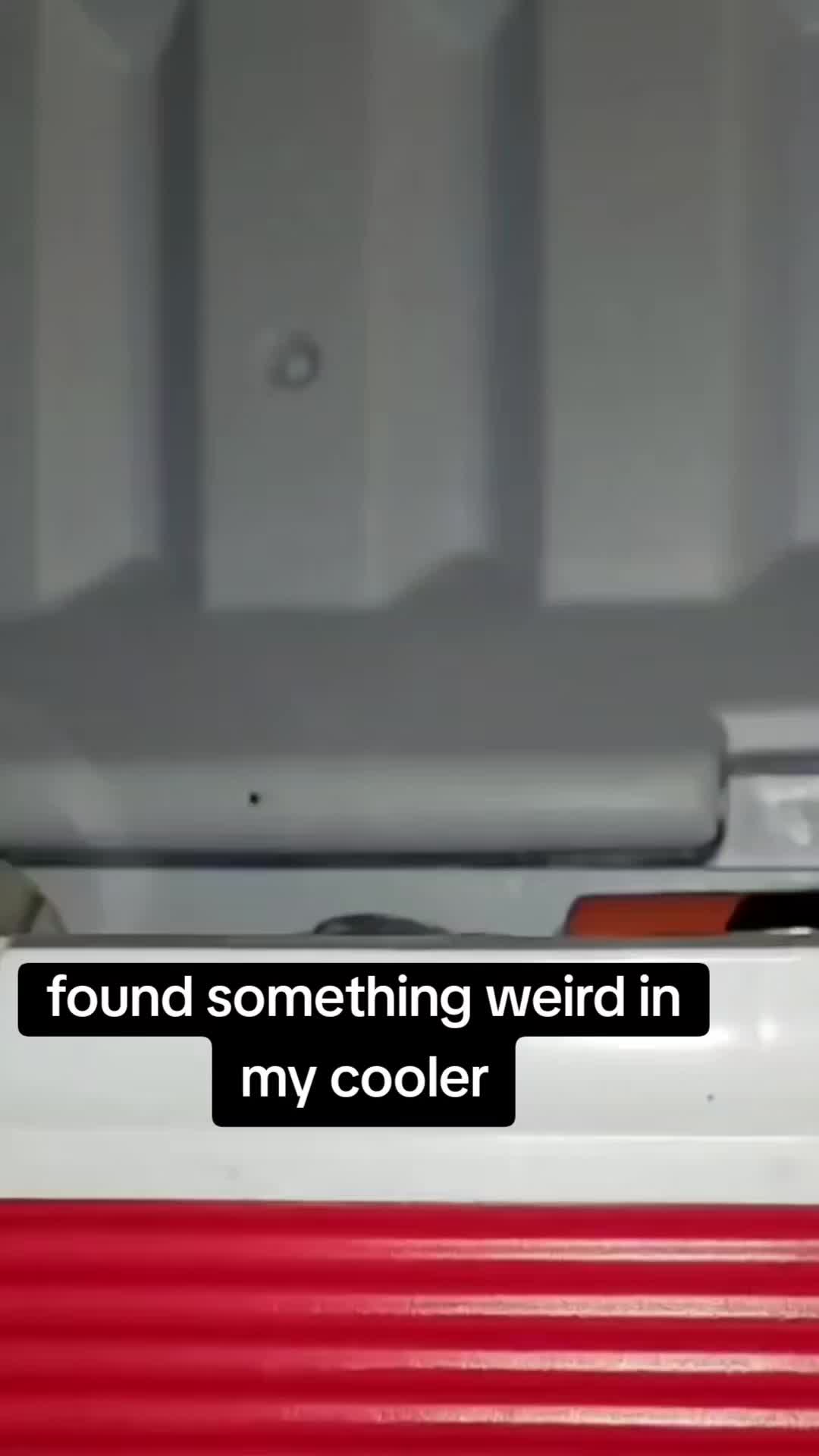 @Gabe
