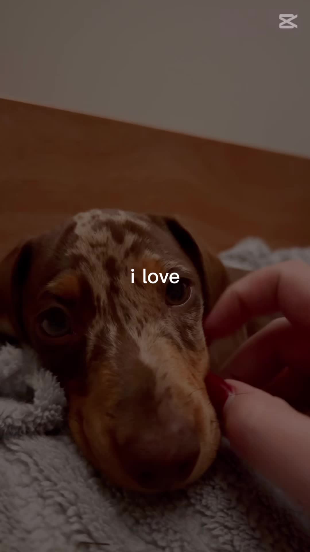 @Maddison Coleman