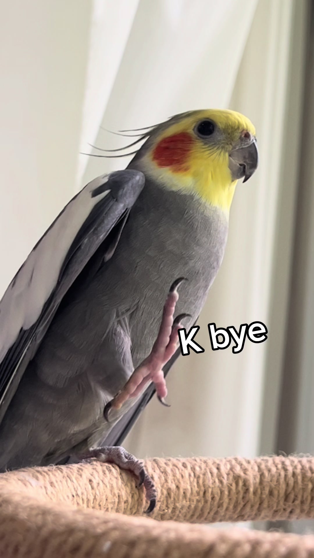 @Emery The Branch Manager