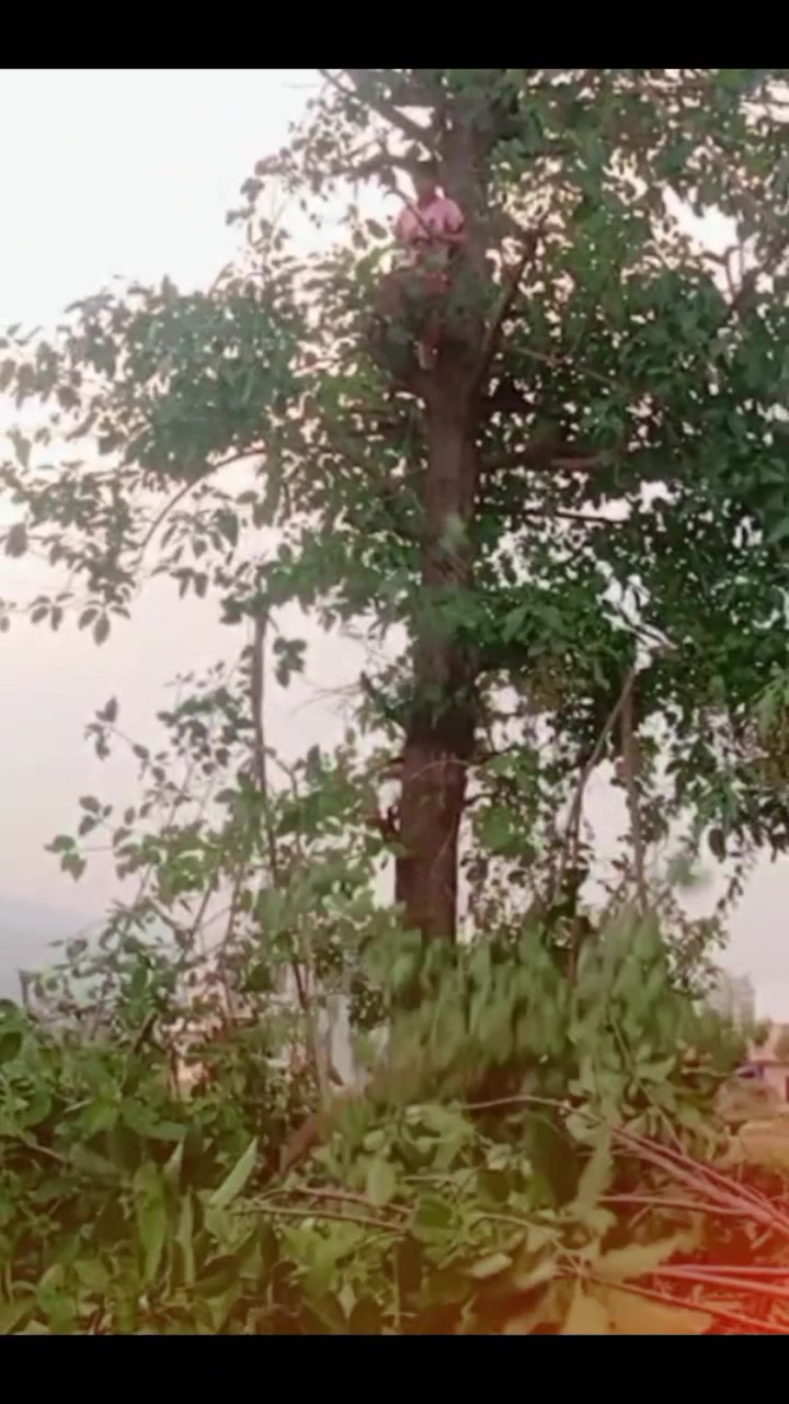 @sarmila Bhattrai