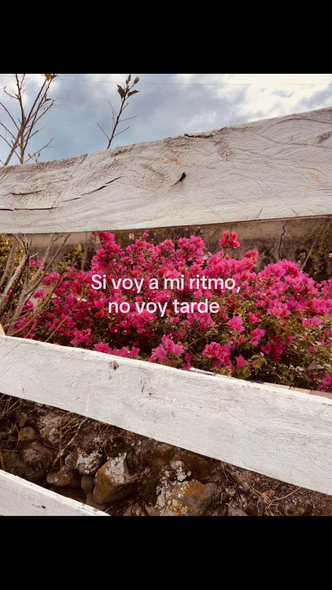 @Bel