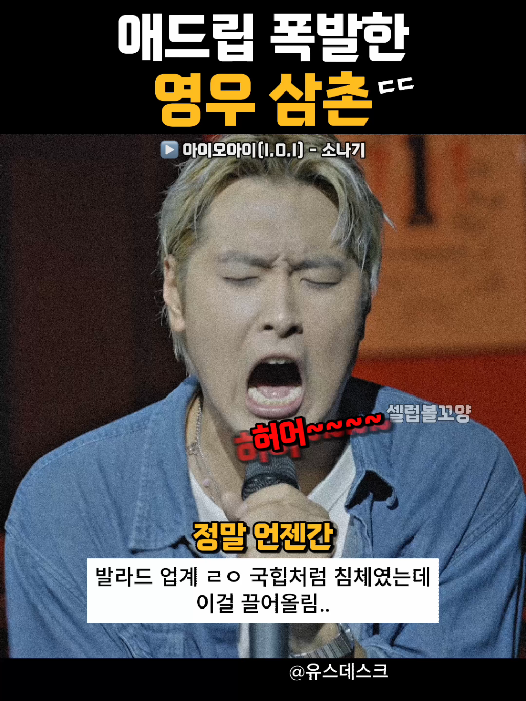 @셀럽볼꼬양