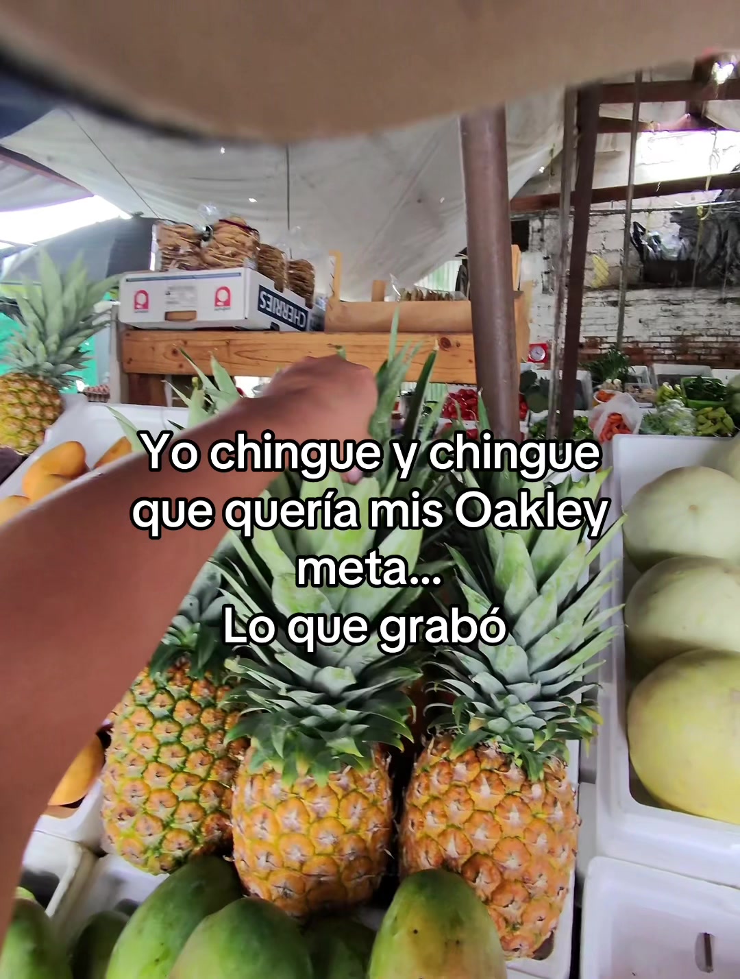 @Alexandra Gonzalez