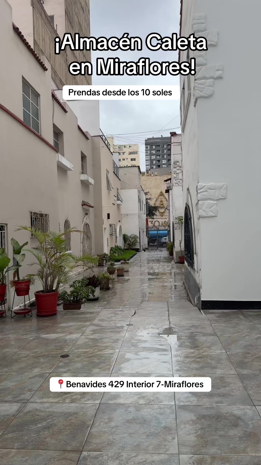 @summer29.peru