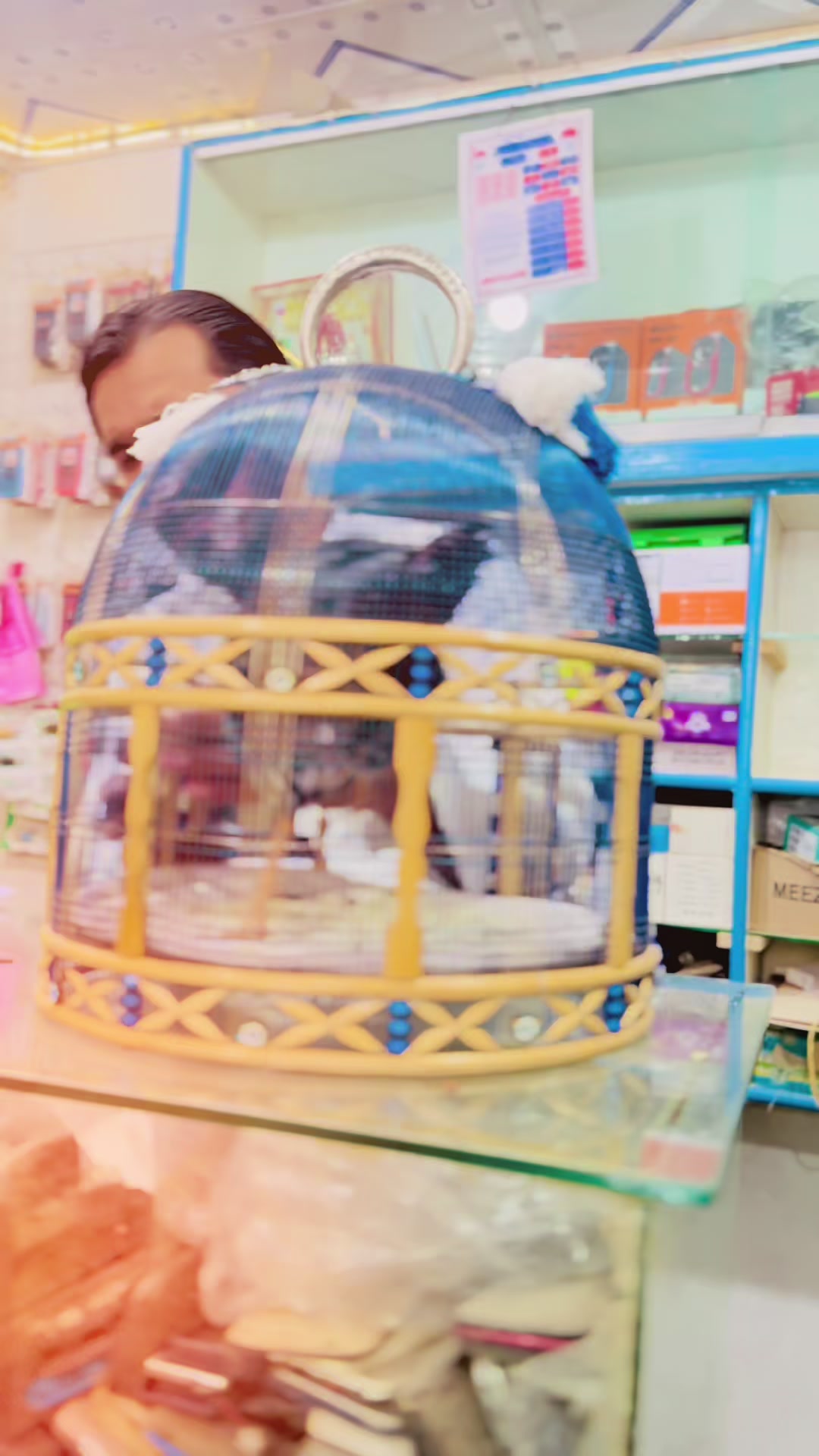 @𝐌 𝐀 𝐍 𝐈 ✓🫰🏻