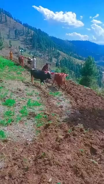 @Abdul Aziz Sabri