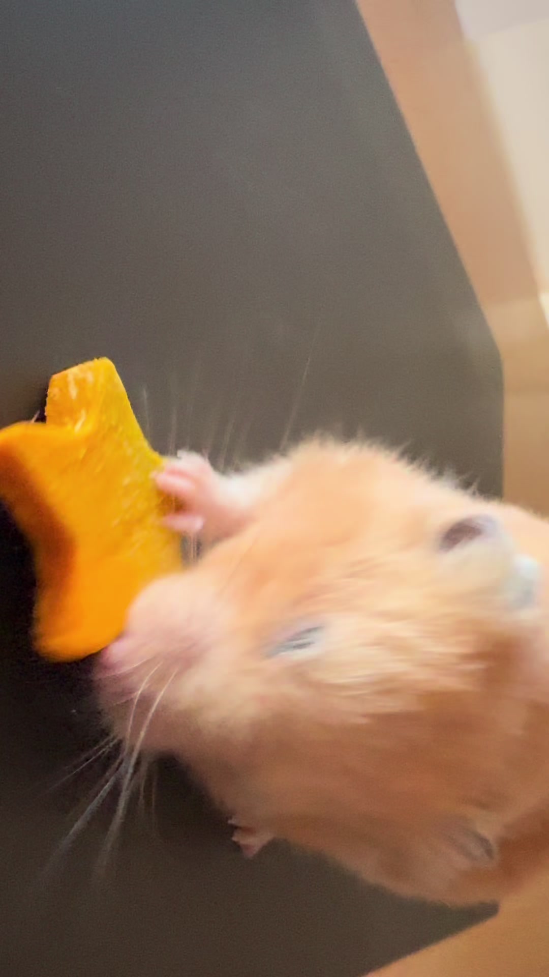 @ใใ P๐๐