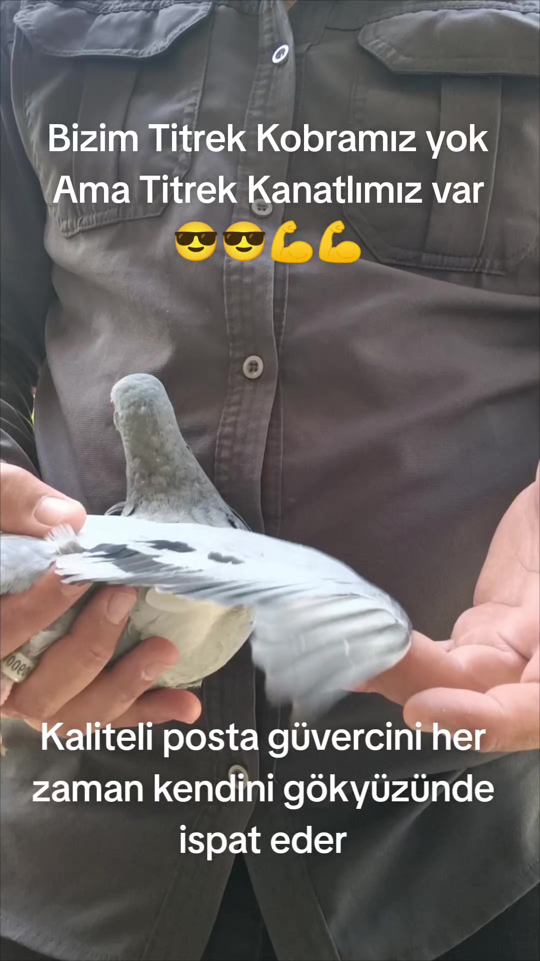 @YARIŞ POSTASI