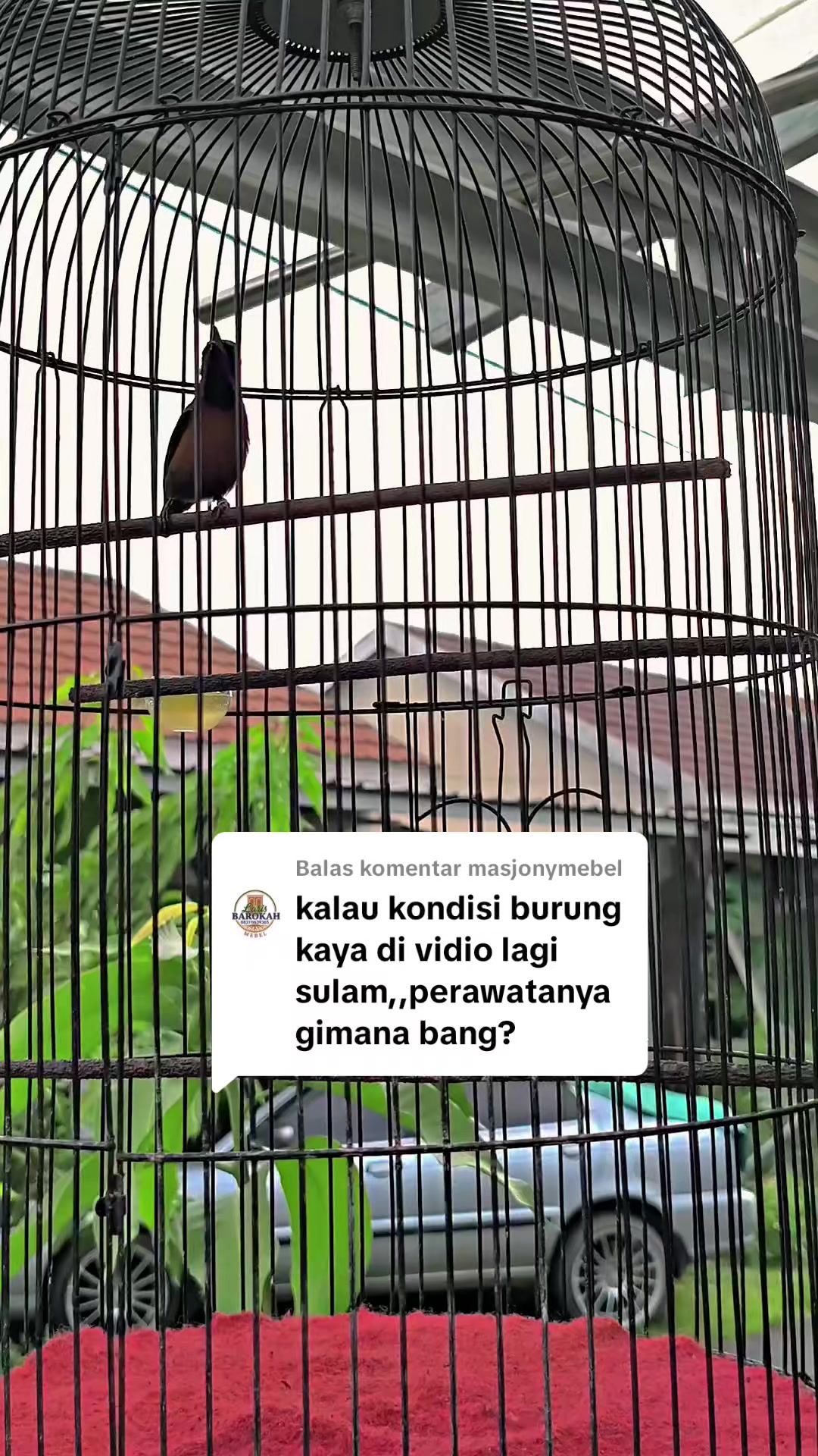 @banjarrayasquad