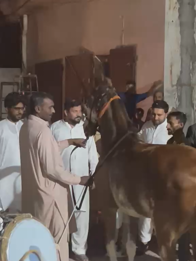 @✨شیوی بھلی ✨