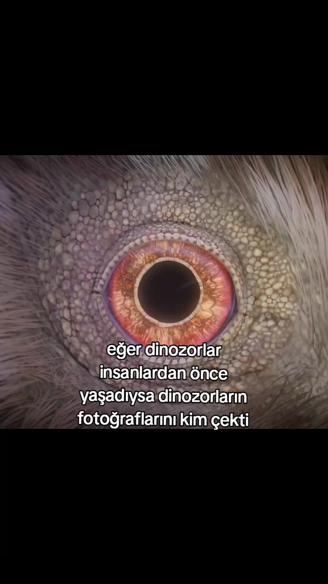 @SAMET
