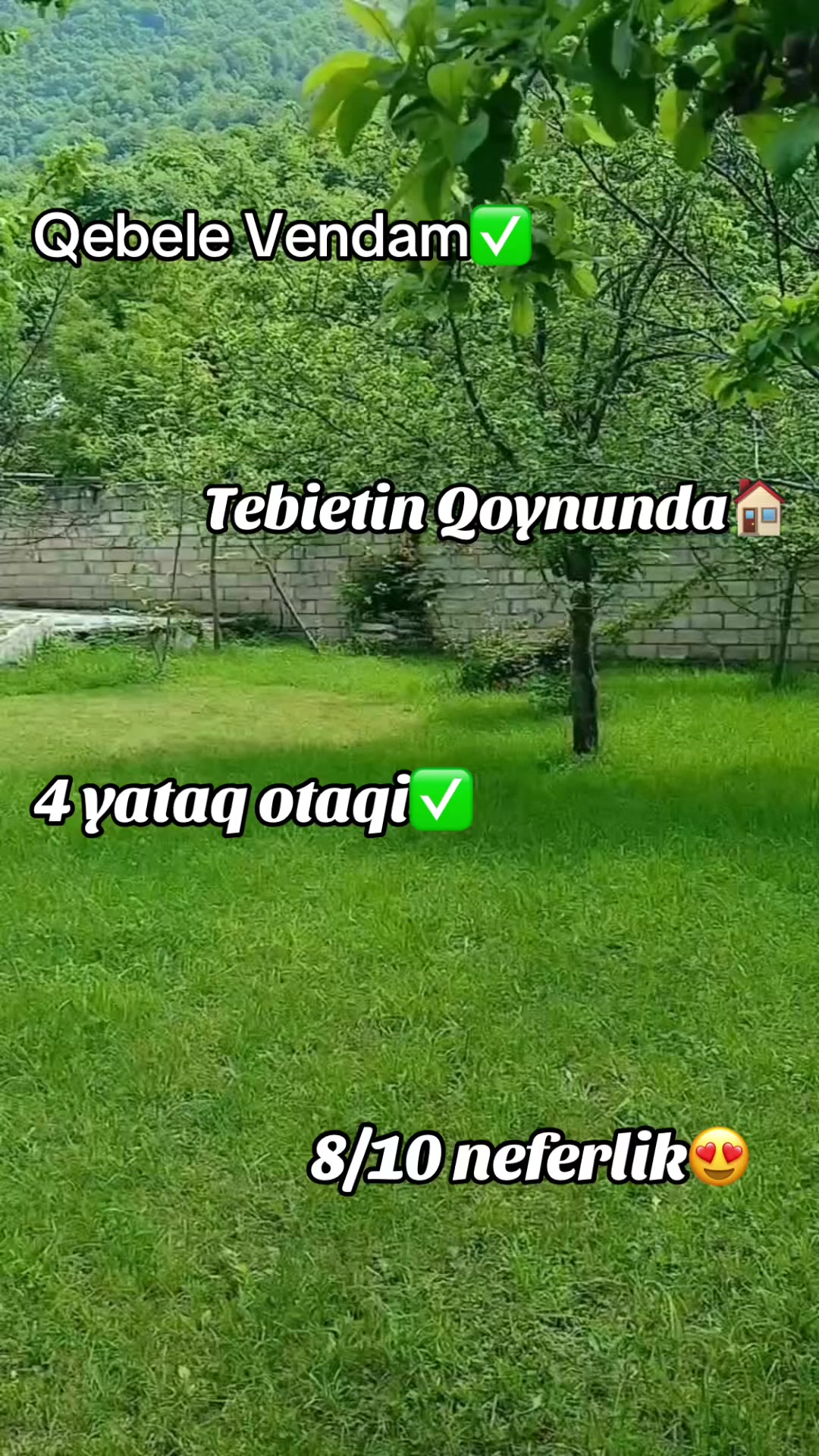 @Qebele_Bağ_Evleri_Kiraye