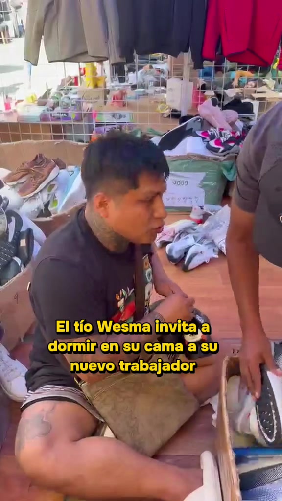 @show & negocios clips