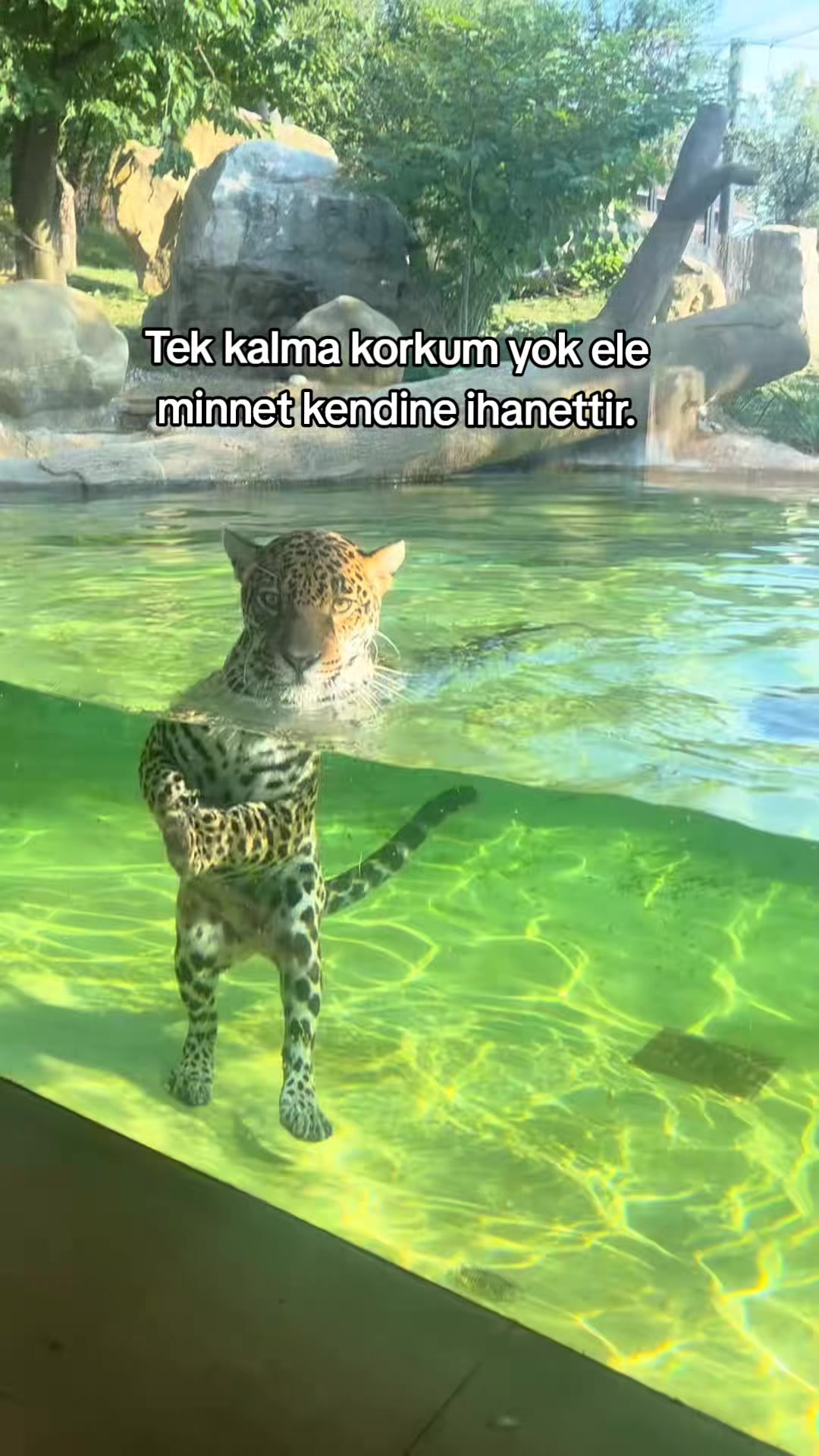 @VEDAT EKİNCİ