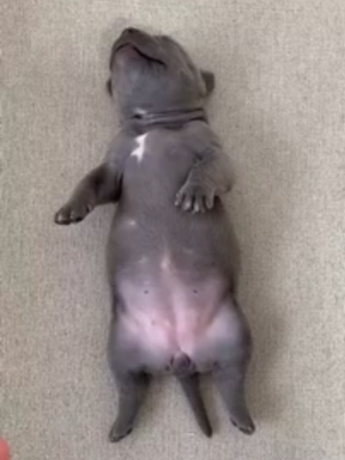 @uxifnfsiyyn