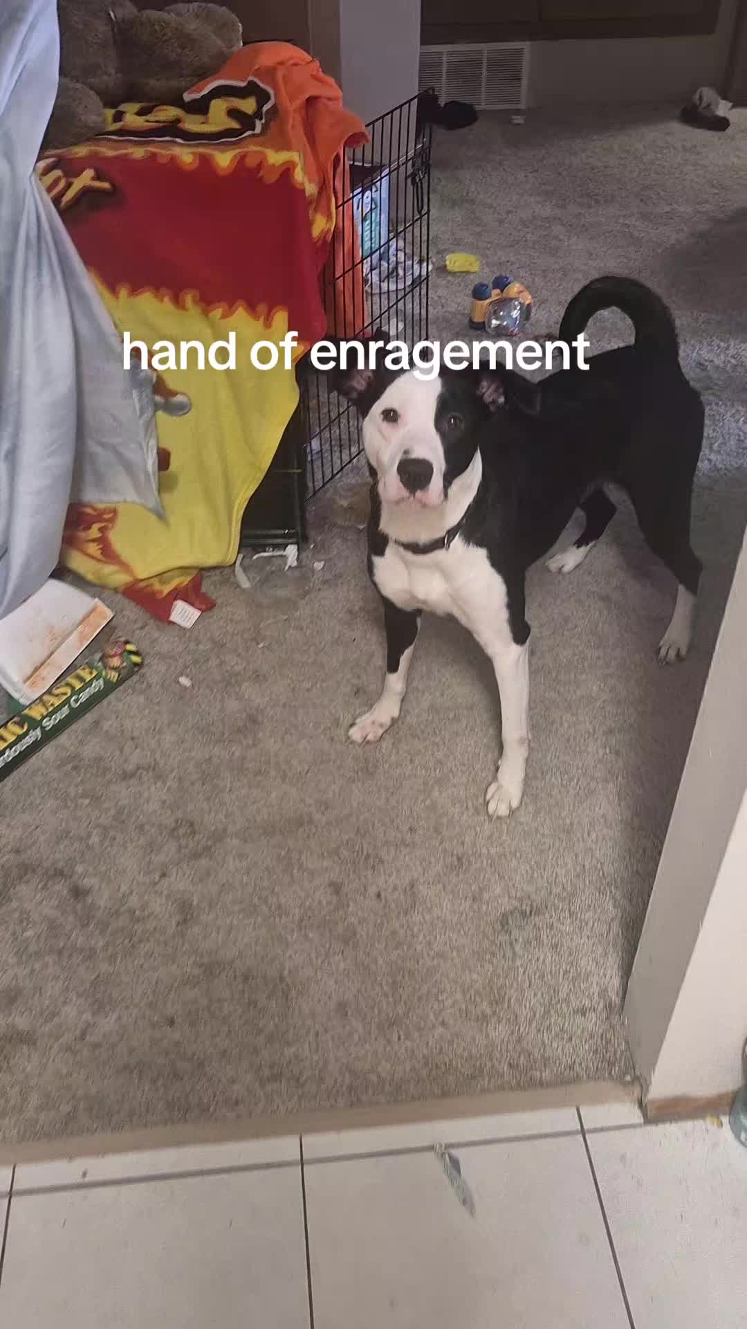 @Zan