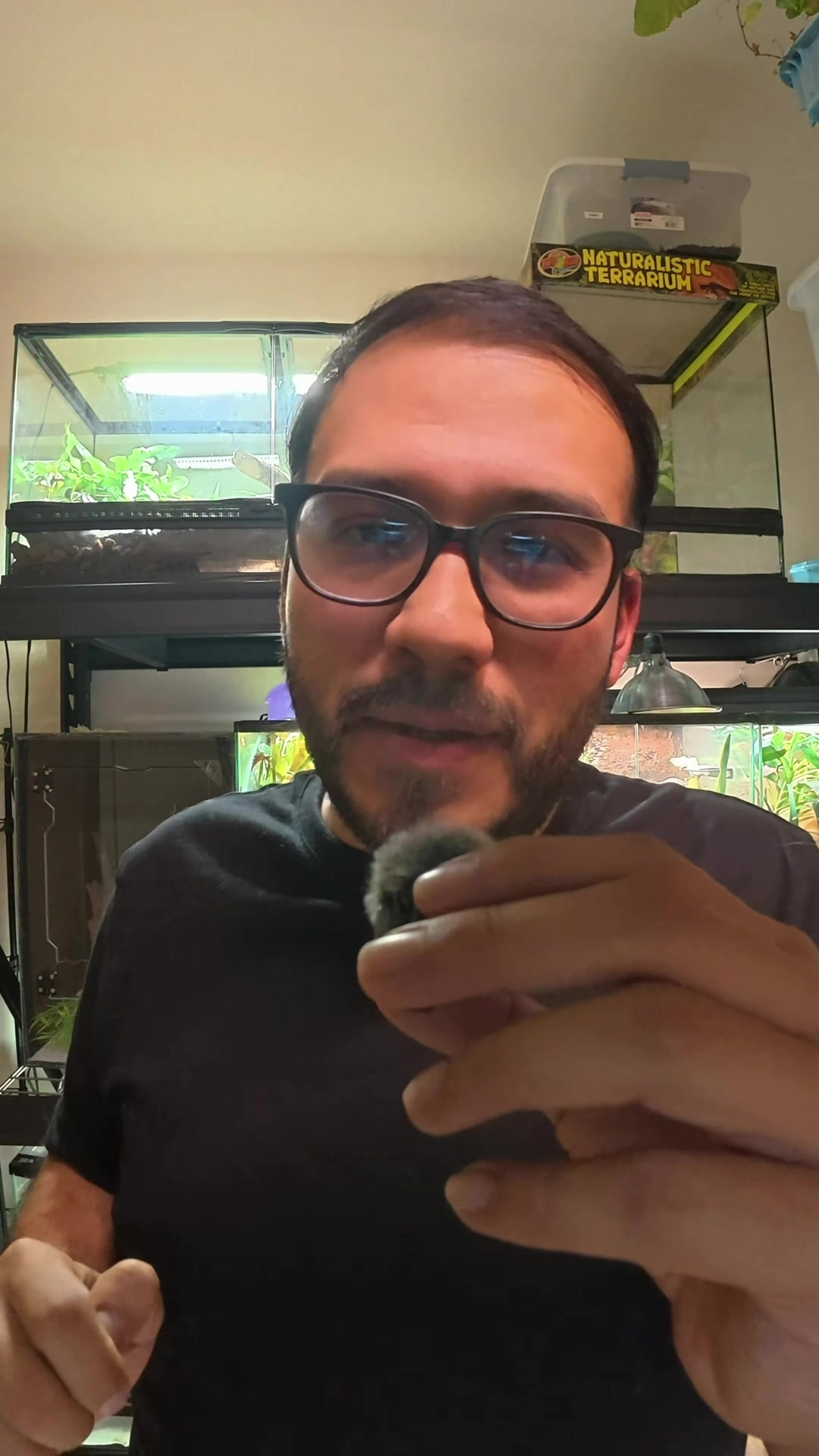 @Reptile Source