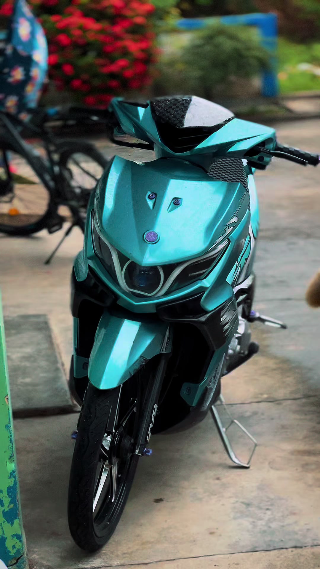 @Xenzy🇻🇳