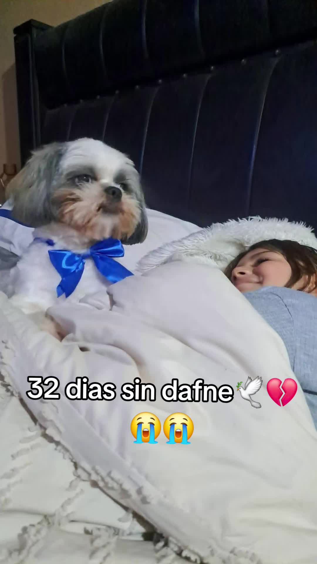 @todos Somos Dafne