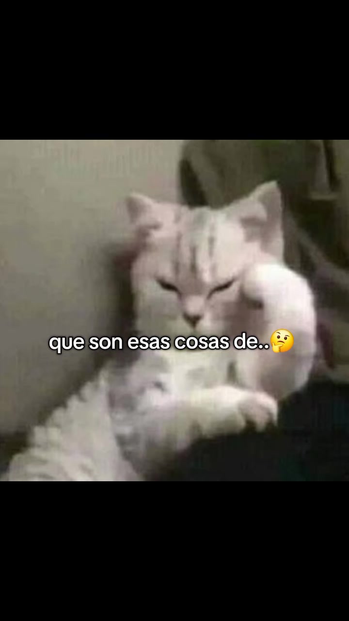 @Flaca