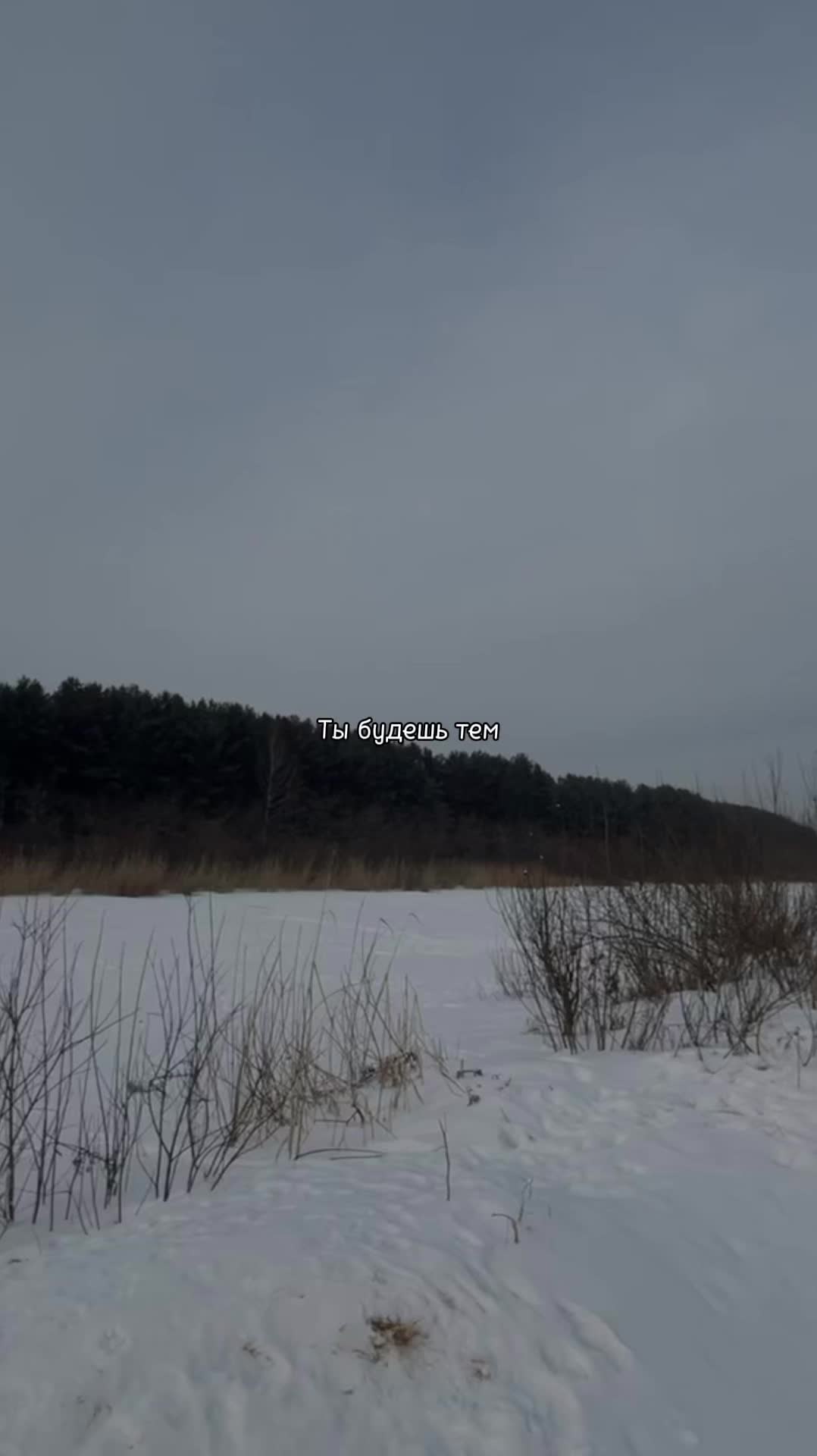 @Швец