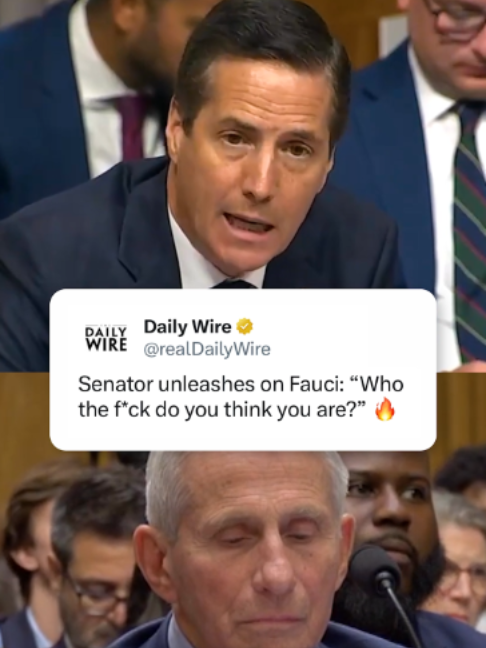 @Daily Wire