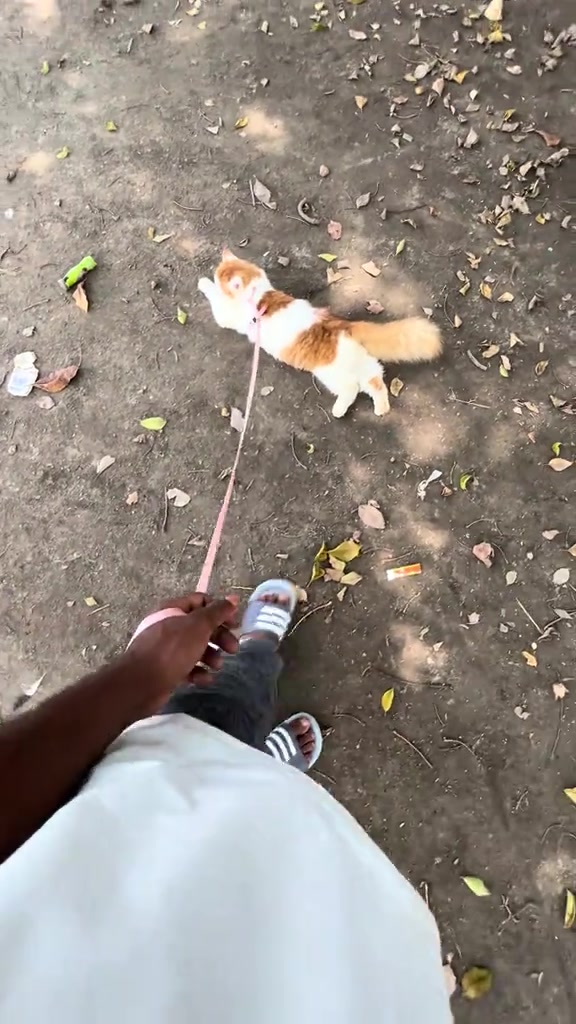 @༒S𝓪𝔂𝓪𝓷࿐♡♡🎧