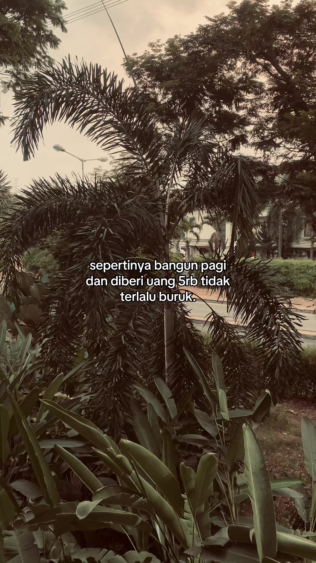@ryy.